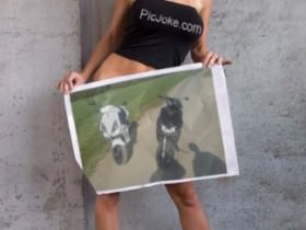 PicJoke.com