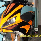 DSCI0299