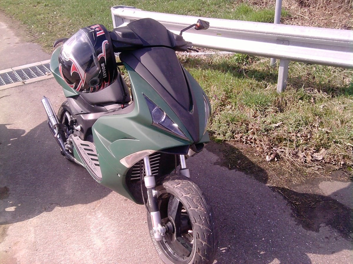neue bilder