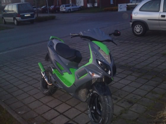 11042010285.jpg