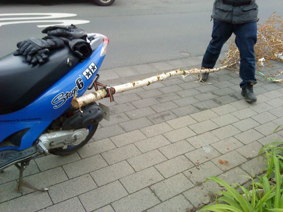 Tschüss Maibaum xD