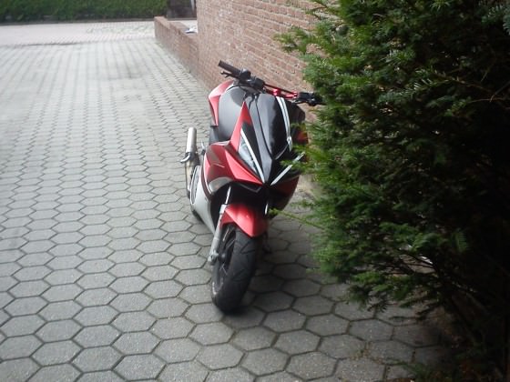 Hehe, mal wieder Downi ;)