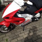 neue trittbretter