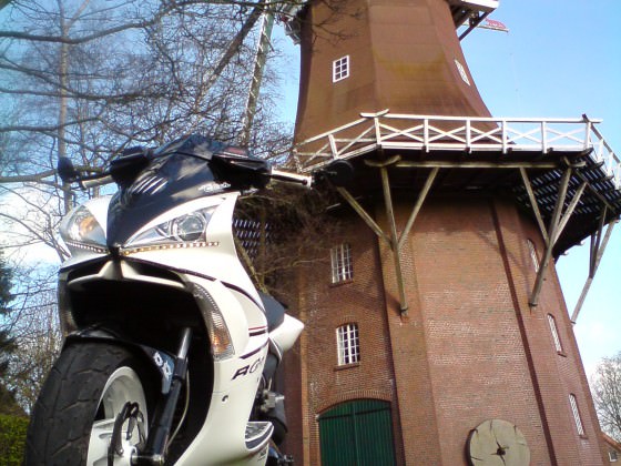 Der Scooter