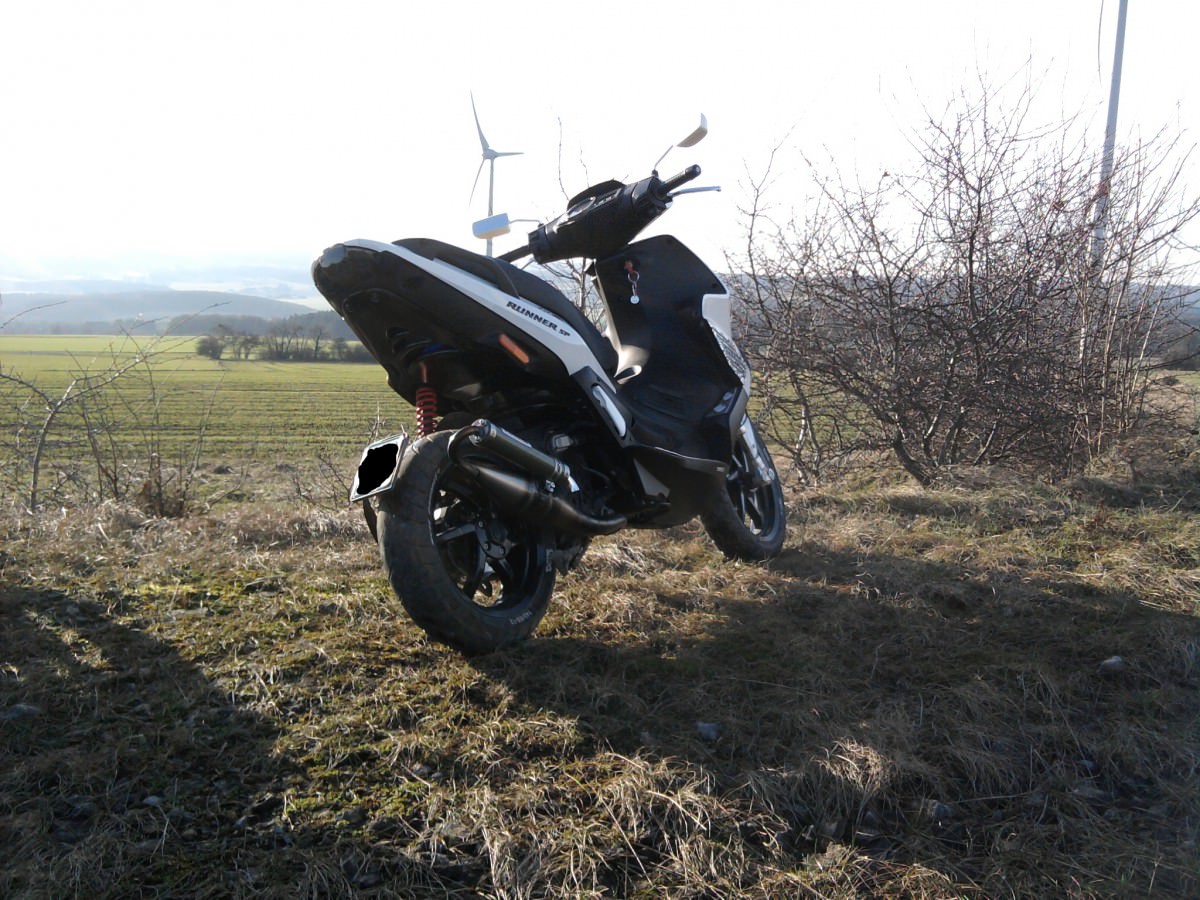 Mein Runner:)