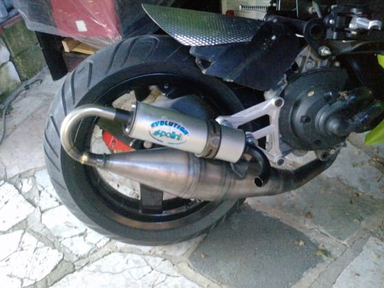 Polini Evo