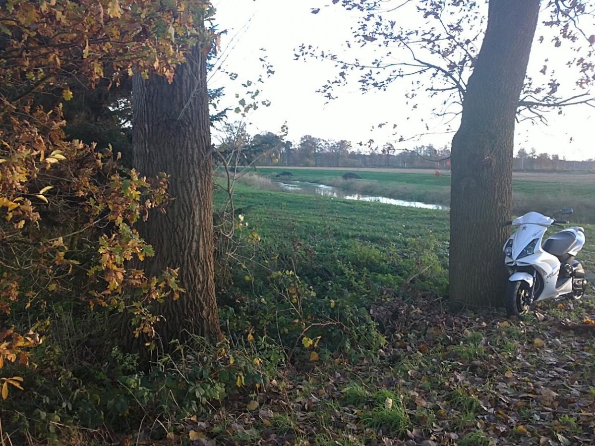 Herbst <3