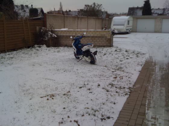 the amazing bitch in the snow yoo C;