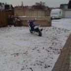 the amazing bitch in the snow yoo C;