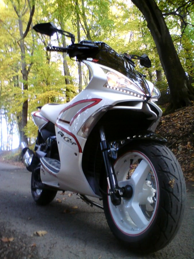 Der Scooter