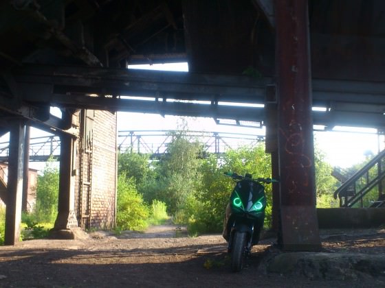 Fotosession
