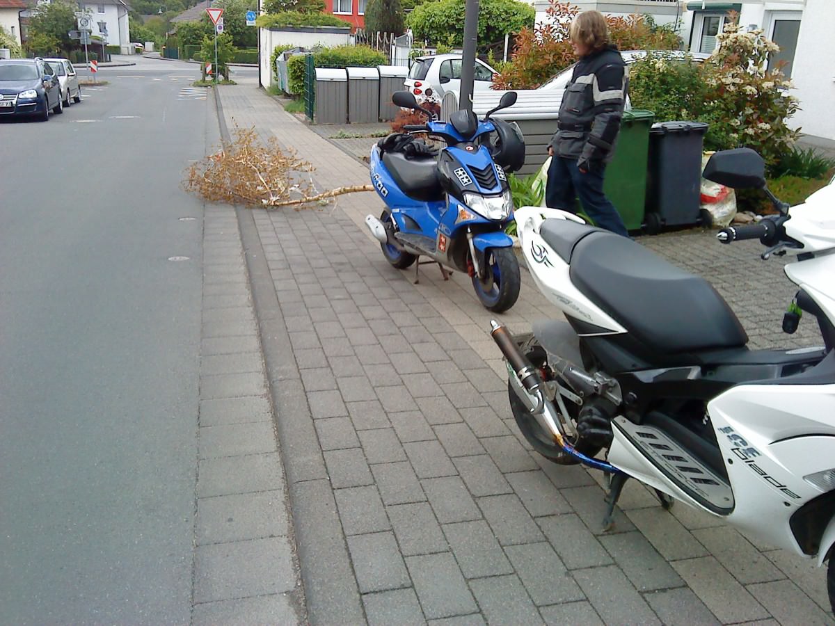 Tschüss Maibaum xD