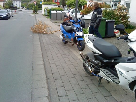 Tschüss Maibaum xD