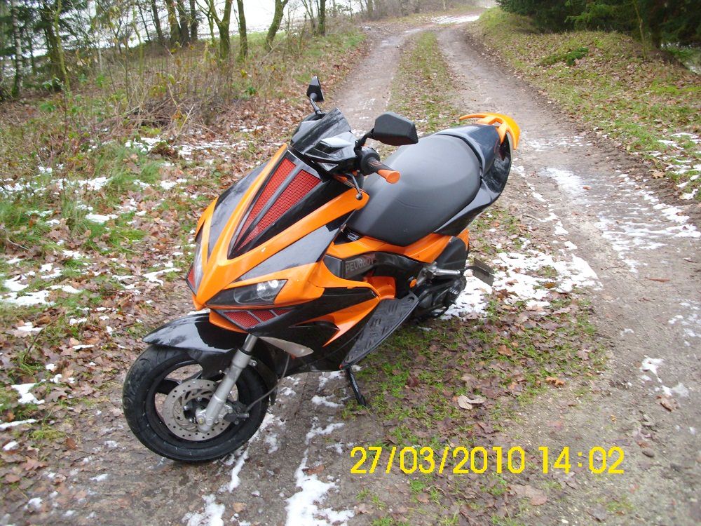 DSCI0336
