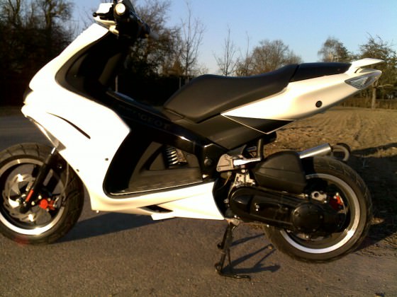 WhitePearl163