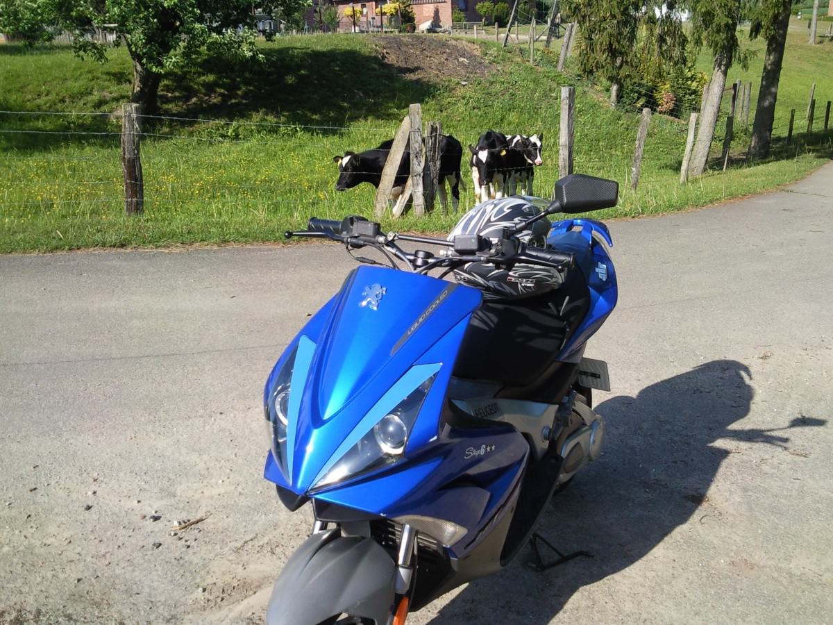 Wenn jetzt Sommer wär...