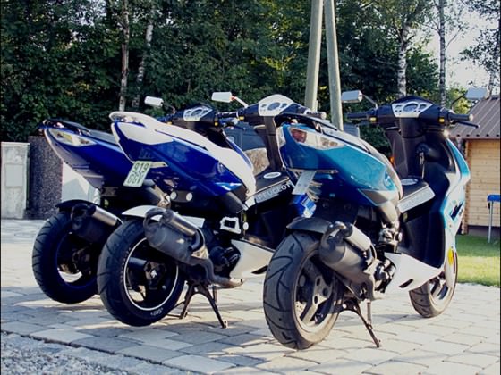 die 3 blauen <3