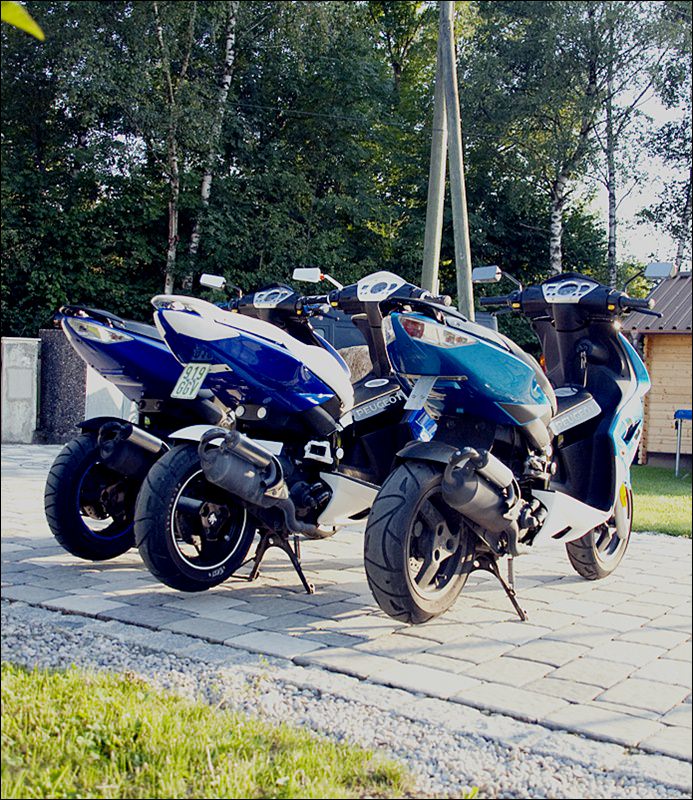 die 3 blauen <3