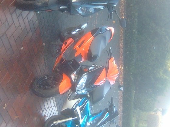 Bild0043