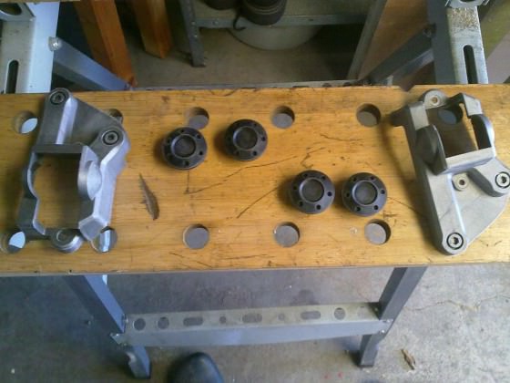 Mein neuer jetty 3 wochen alt =)