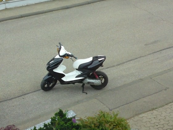 Mein Rox