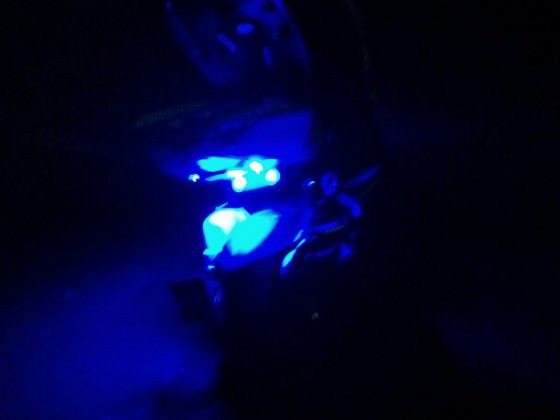 LED's