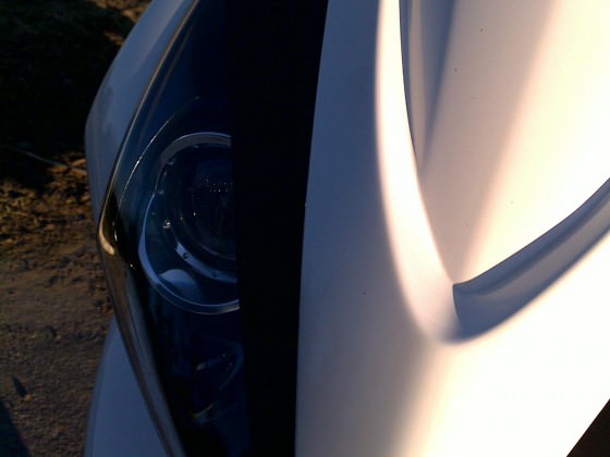 WhitePearl162