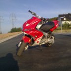 SOMMER 2010 War der beste sommer meines lebens :´(