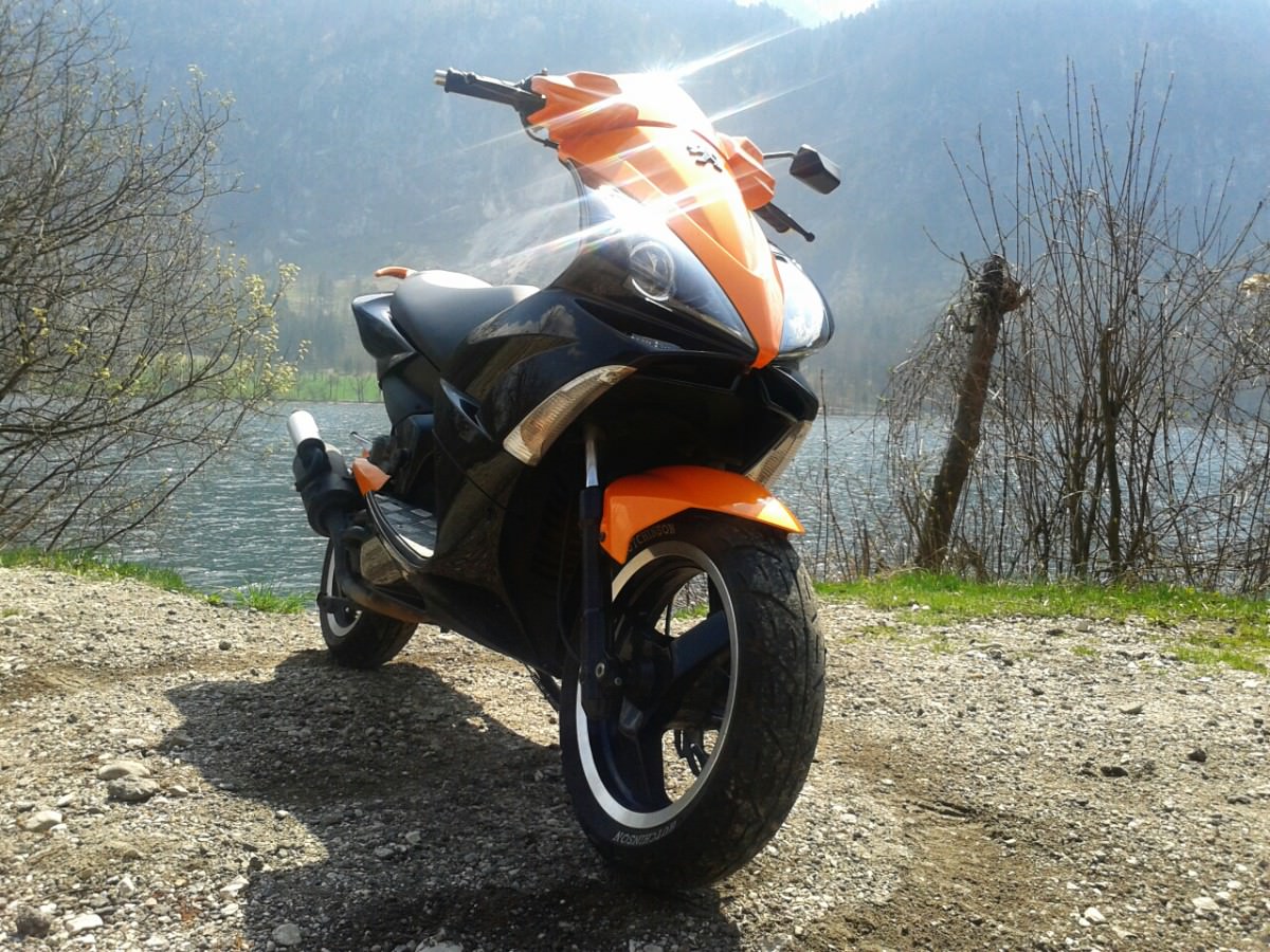 orangeblack jetts