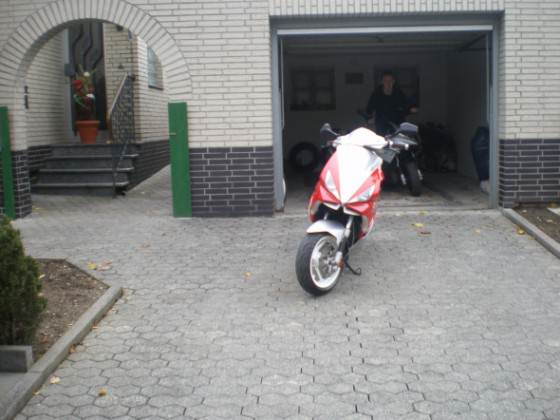 IMGP1441.JPG