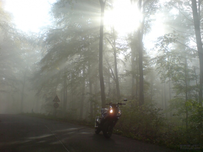 DSC04554.JPG
