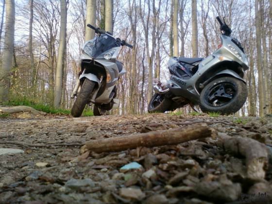 jetty & speedy