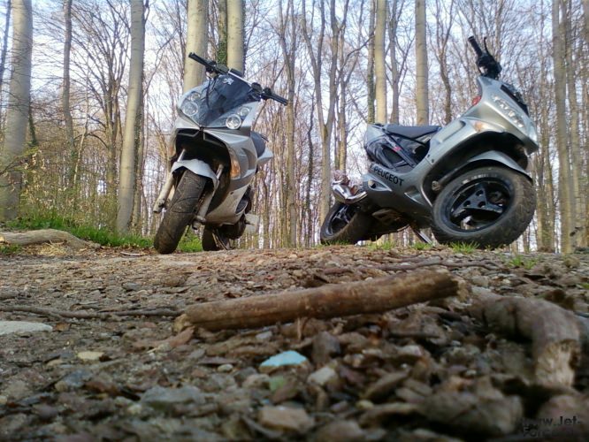 jetty & speedy