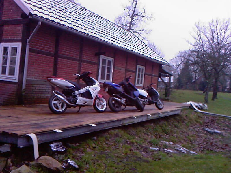 Paar Bilder