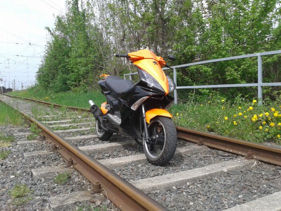 orangeblack jetts