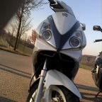 liebe. :D