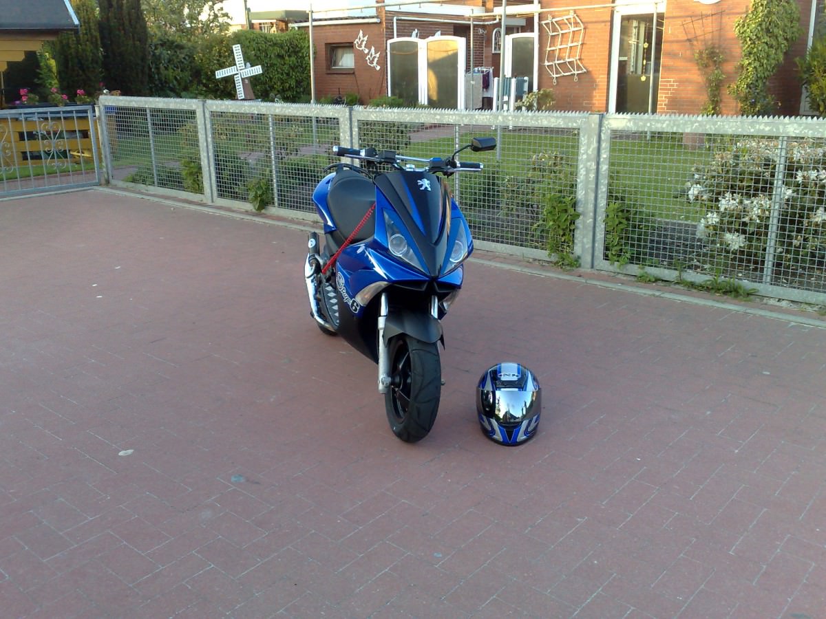 Bild 268