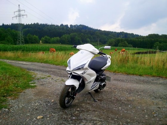 muuh :D
