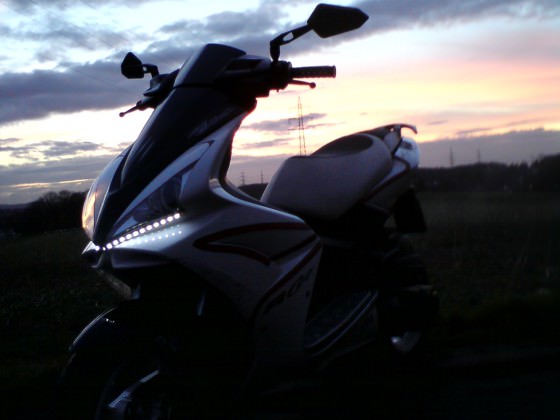 Der Scooter