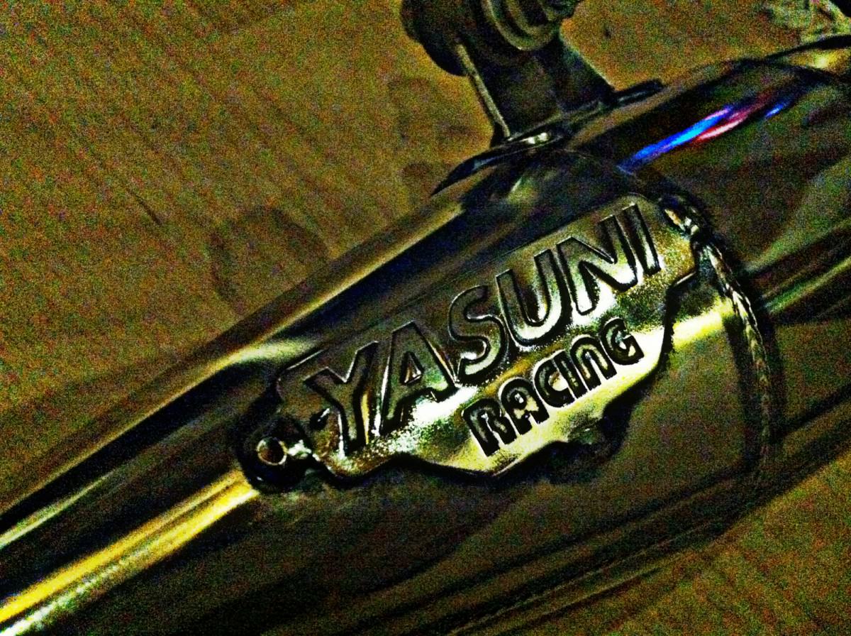 YASUNI R