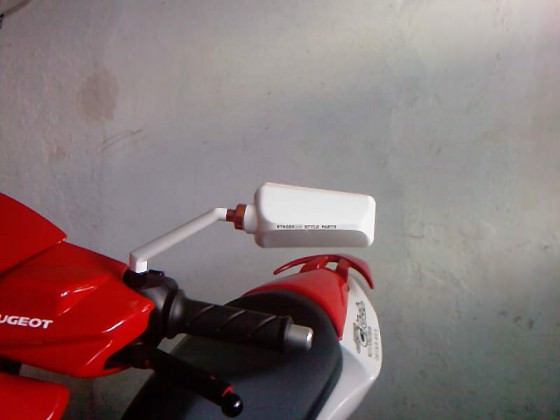 Foto-0302