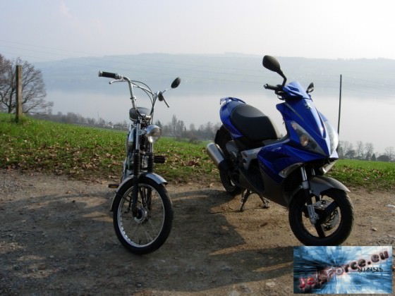 Peugeot Jet-Force TSDI & Alpa Sport 503