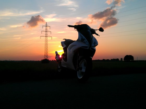 IMAG0453