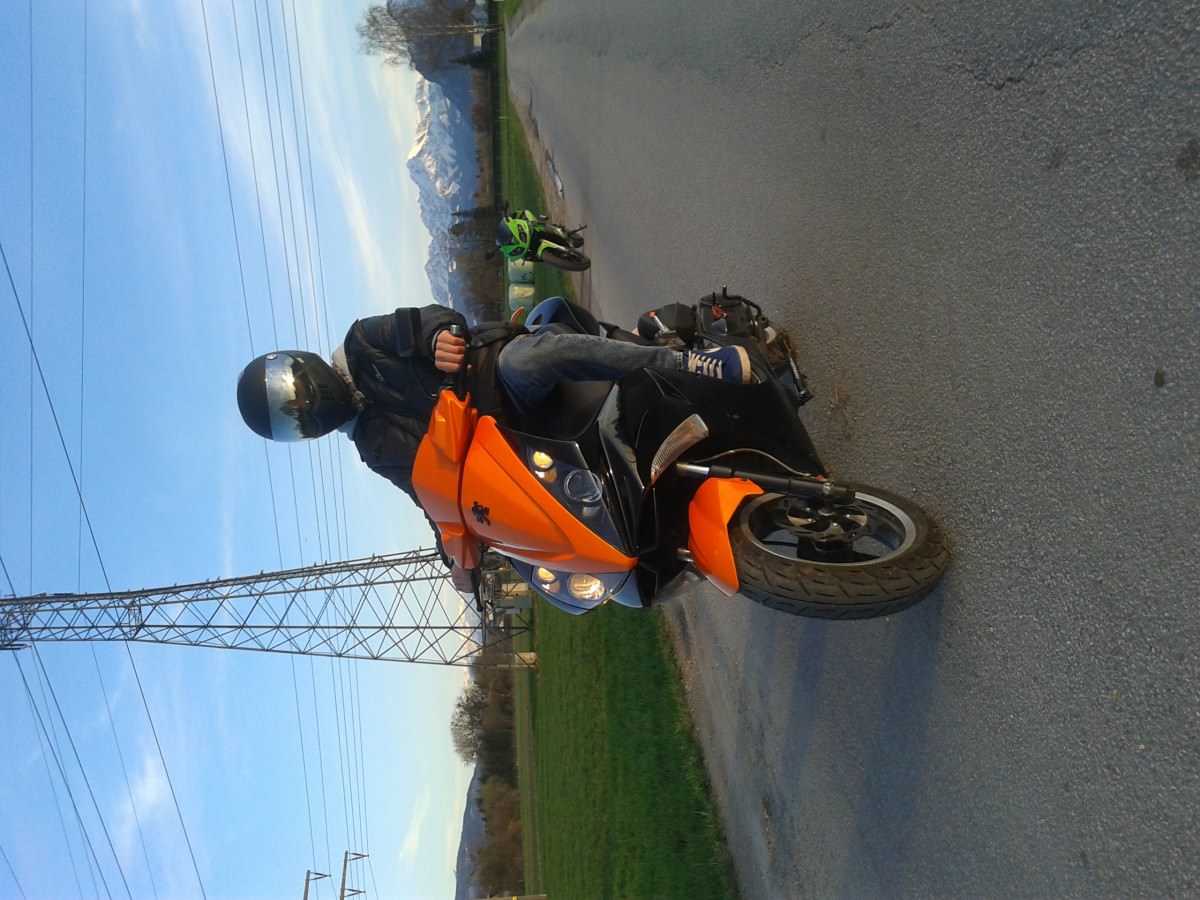 orangeblack jetts