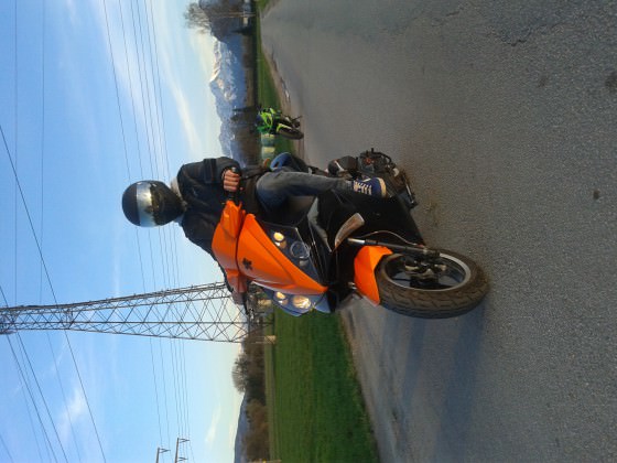 orangeblack jetts