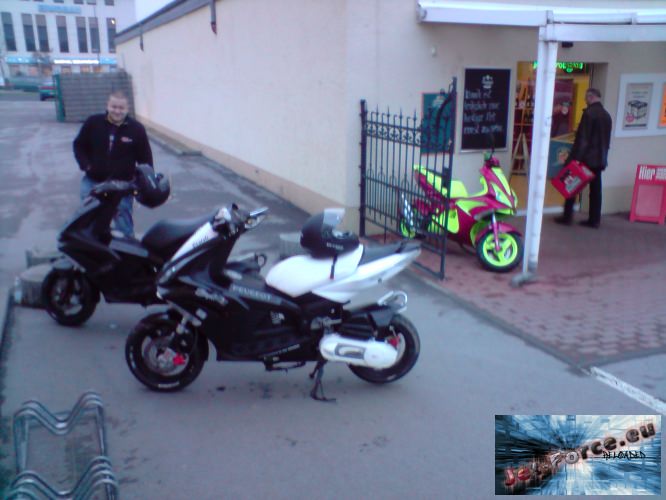 P060309_17.15[01].JPG