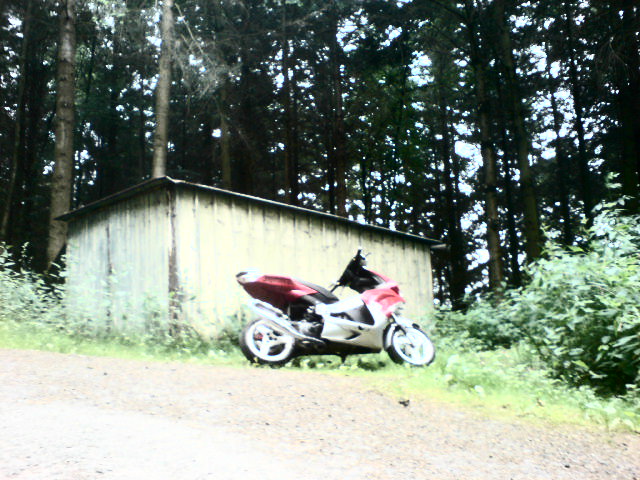 DSC06308