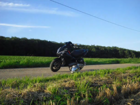 Neue Pic's