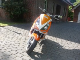 neu (2).jpg