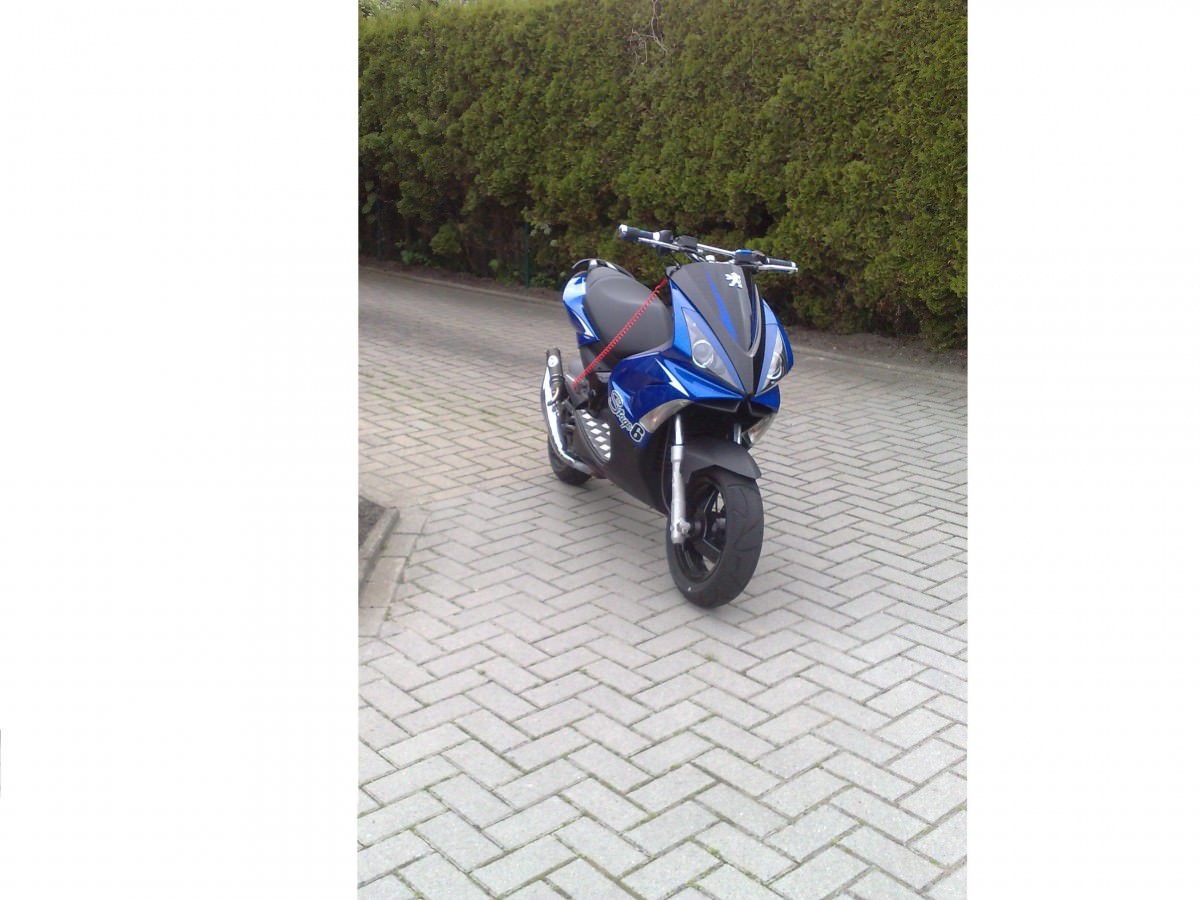 lieber so verkaufen oder schlachten wo bei bekommt man mehr geld